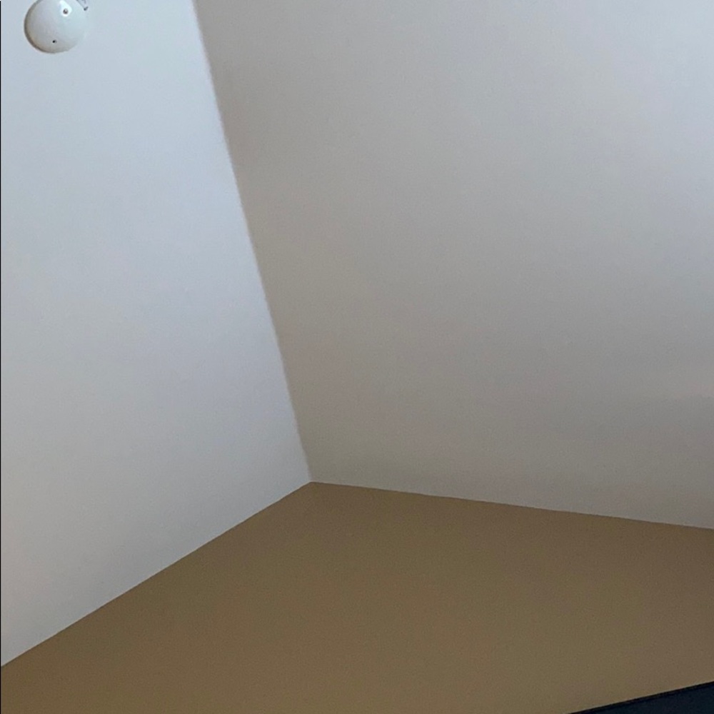 Meet your Posher, Reggie